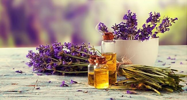 Buy 100% Pure & Natural Essential Oils Online in USA - US Essential Oil Bulk Supplier