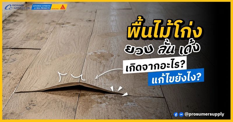 ปัญหาพื้นไม้ โก่ง ยวบ ลั่น เด้ง เกิดจากอะไร? แก้ยังไงให้จบ | โปรซูเมอร์ ซัพพลาย | เคมีภัณฑ์ก่อสร้าง ซิก้า แลงโก้ ราคาโรงงาน ขายปลีก/ส่ง