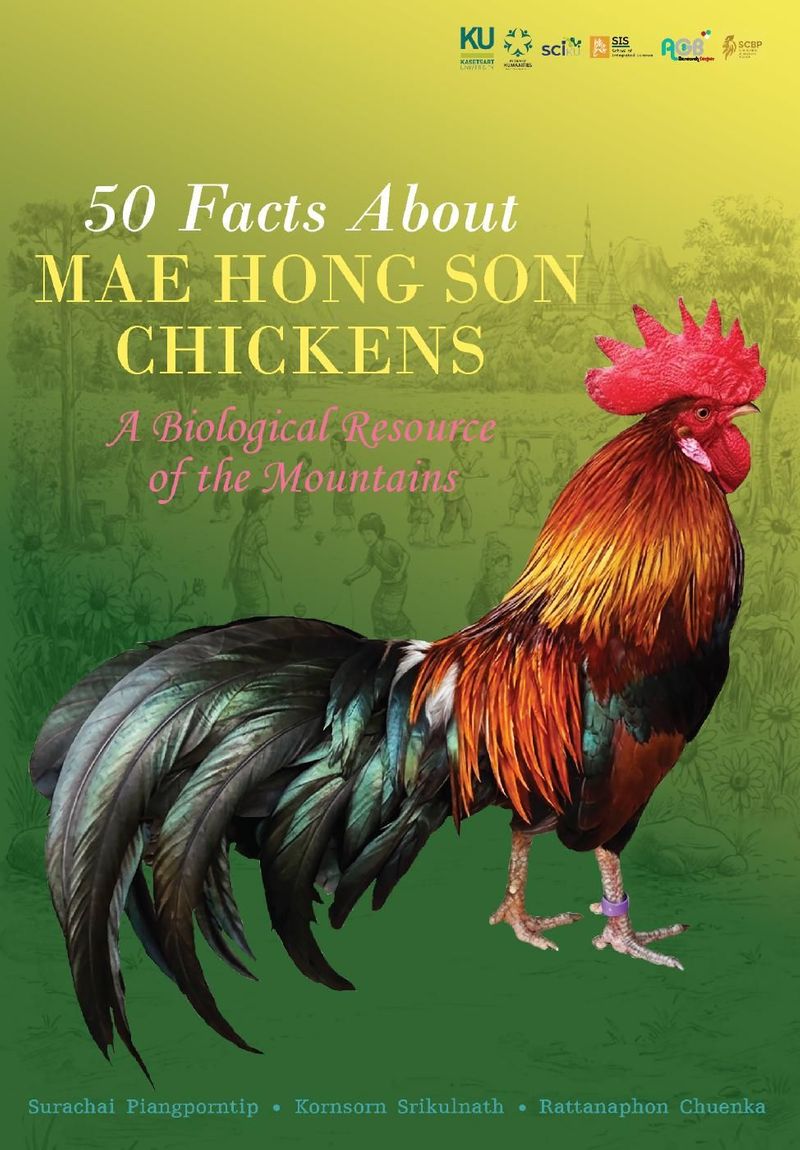 50 Facts About Mae Hong Son Chickens: A Biological Resource of the Mountains | PDF to Flipbook