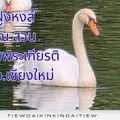 สวนเฉลิมพระเกียรติ องค์การบริหารส่วนจังหวัดเชียงใหม่