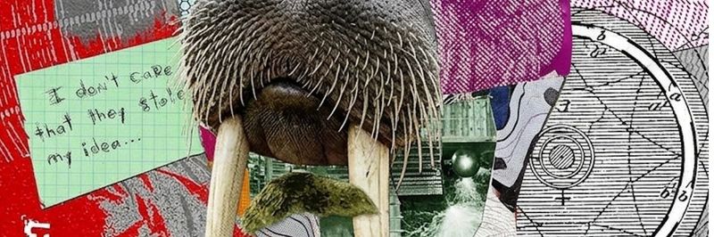 Walrus House @readawrite.com