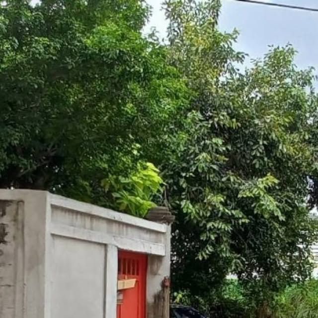 THE BEST PROPERTY 19 on Instagram: ”ขายที่ดิน เนื้อที่ 2 ไร่
ที่ตั้ง : ซอยเทศบาล ถนน เพชรเกษม ต.อ้อมใหญ่ อ.สามพราน จ.นครปฐม
รหัสทรัพย์ T-122021 เนื้อที่ 800 ตารางวา
กว้าง 83.00 เมตร ลึก 42.00 เมตร
หันทางทิศ : เหนือ รายละเอียดเพิ่มเติม : แถมบ้านไม้ ในพื้นที่ภายใน มีเฟอร์นิเจอร์ไม้สัก ทำเลดี อยู่หลังตลาด เหมาะสำหรับสร้างอาคารจอดรถ หอพัก อพาร์ทเม้นท์ สำนักงาน หรือ
โรงงานขนาดกลาง พื้นที่เดิมเป็นโรงงานทอผ้า เก่า ราคา 16,125 บาท / ตารางวา
ราคา 6.45 ล้านบาท / ไร่ ราคาขายยกแปลง 12,900,000 บาท สอบถามข้อมูล | นัดดู ที่ดิน
️ โทร /ไลน์ WhatsApp O841723685 บอย
Line https://line.me/ti/p/WbgnMzN3Ml
( โทรมาได้ตลอด 24 ชั่วโมง ) #อ้อมใหญ่ #สามพราน #นครปฐม #ที่ดิน #อสังหาริมทรัพย์”