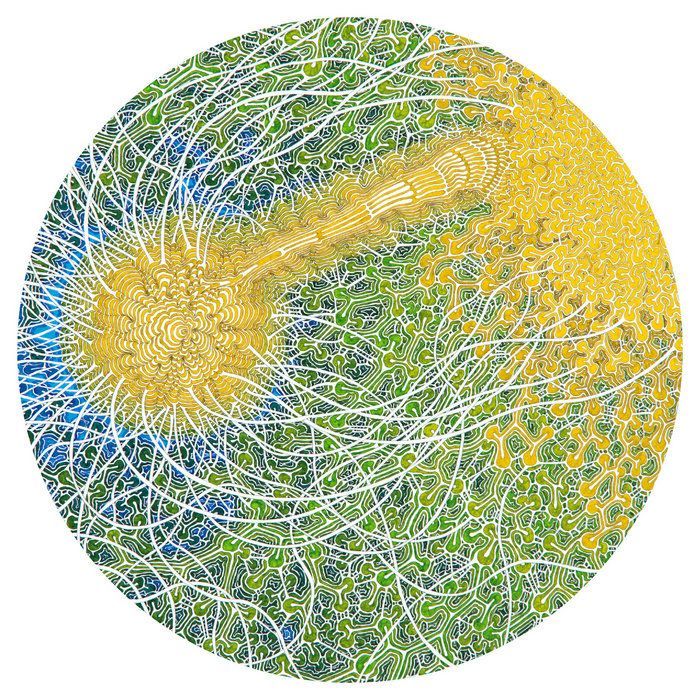 Feeling Is Structure, by Max Cooper