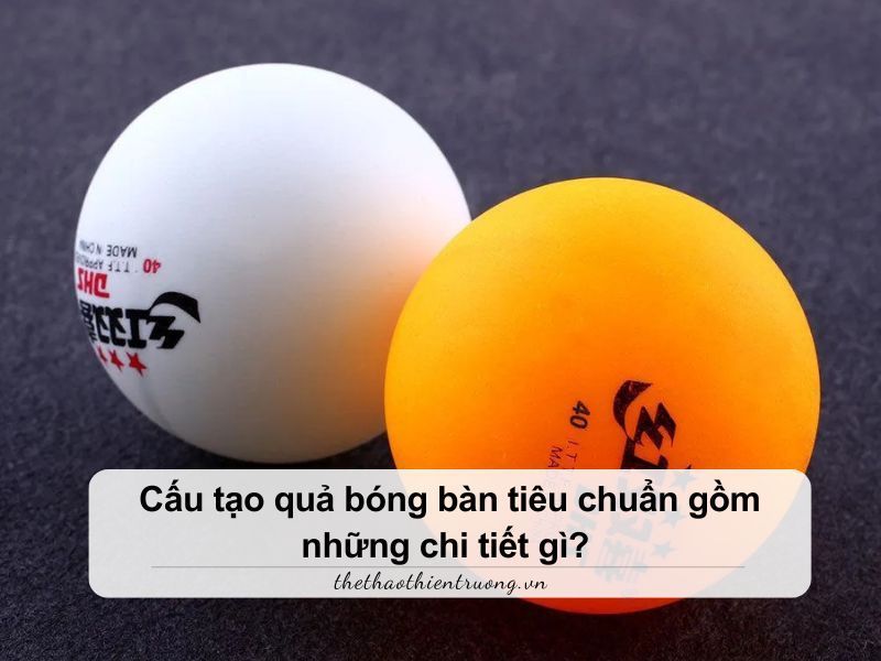 Cấu tạo quả bóng bàn tiêu chuẩn gồm những chi tiết gì?