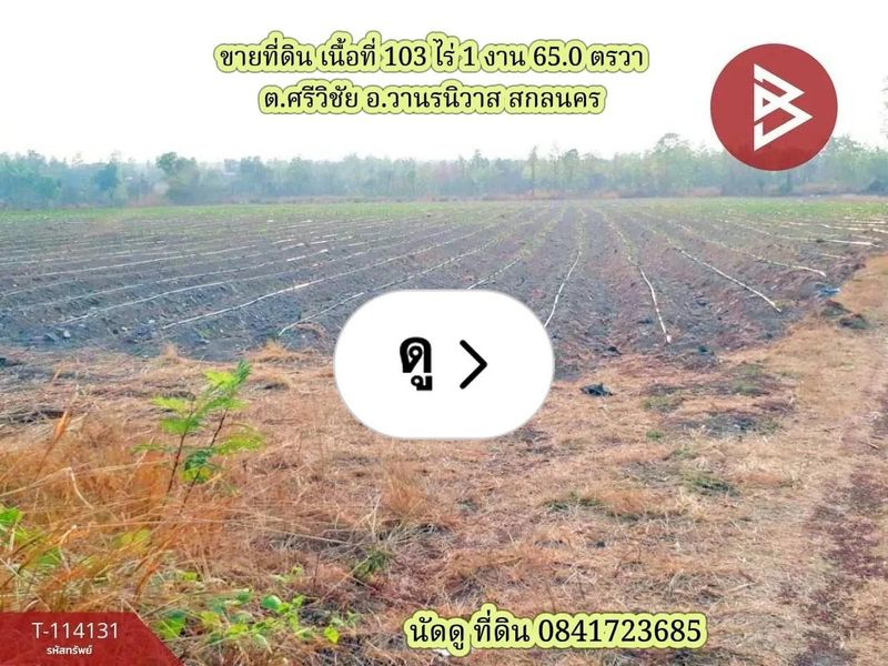 Lemon8 · ขายที่ดินแปลงใหญ่ เนื้อที่ 103 ไร่ 1 งาน 65.0 ตรวา ต.ศรีวิชัย อ.วานรนิวาส สกลนคร · @CHAY - BOYZ
