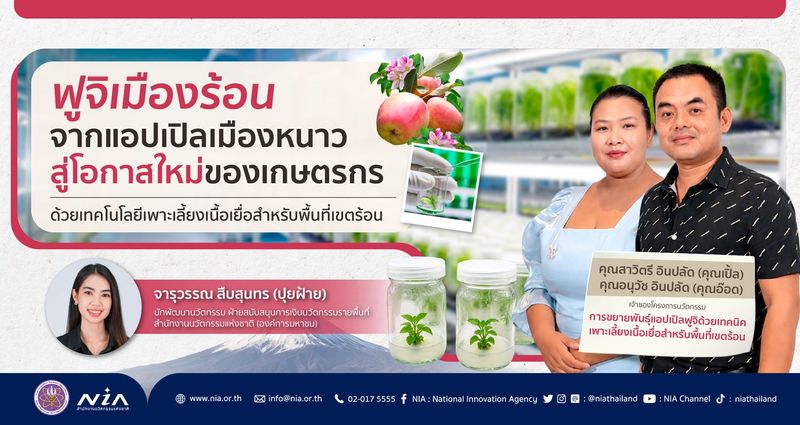“ฟูจิเมืองร้อน” จากแอปเปิลเมืองหนาวสู่โอกาสใหม่ของเกษตรกร ด้วยเทคโนโลยีเพาะเลี้ยงเนื้อเยื่อสำหรับพื้นที่เขตร้อน