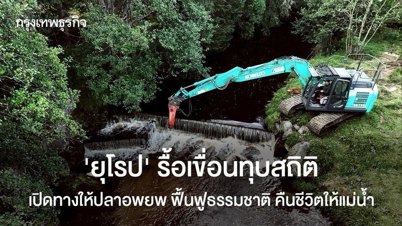 ‘ยุโรป’ รื้อเขื่อนทุบสถิติ เปิดทางให้ปลาอพยพ ฟื้นฟูธรรมชาติ คืนชีวิตให้แม่น้ำ