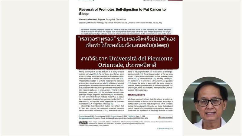 เรสเวอราทรอล ทำให้เซลล์มะเร็งนอนหลับ