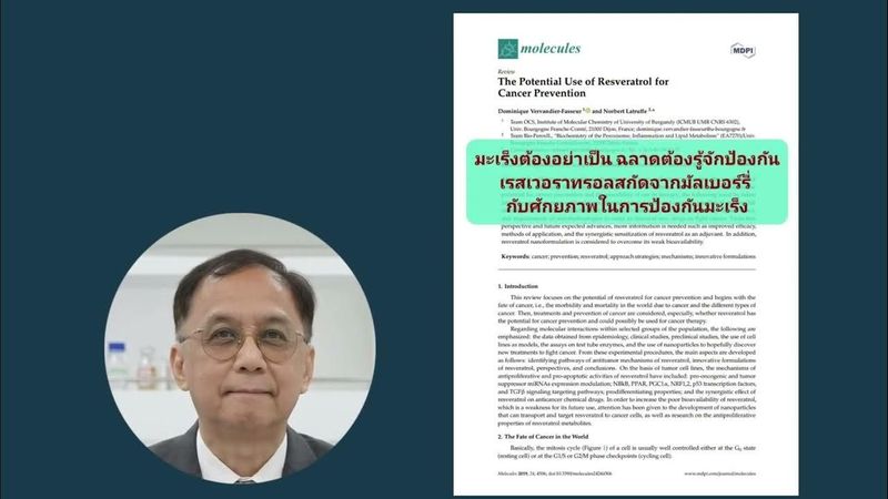 ค้นพบศักยภาพของ Resveratrol ในการต่อสู้กับมะเร็ง ทั้งการป้องกันและเสริมการรักษาทางการแพทย์