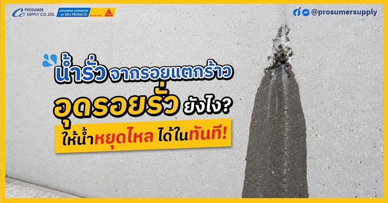 อุดรอยรั่ว จากรอยแตกร้าวยังไง ให้น้ำหยุดไหลได้ในทันที? | โปรซูเมอร์ ซัพพลาย | เคมีภัณฑ์ก่อสร้าง ซิก้า แลงโก้ ราคาโรงงาน ขายปลีก/ส่ง