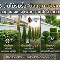 อำเภอวัดโบสถ์