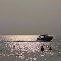 Shark Island