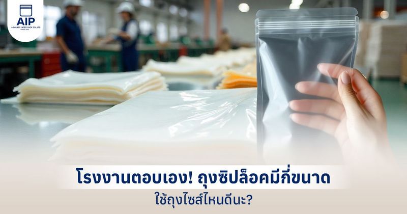ถุงซิปล็อคมีกี่ขนาด ไซส์ถุงซิปมีแบบไหนให้เลือกบ้าง?