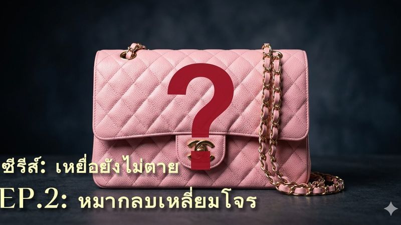 [Insight by G] หลายคนอาจจะเลือกถอย แต่ไม่ใช่ฉัน!!
​เมื่อชัดเจนแล้วว่าฉันโดนสแกมและ Matthew คือคนคุมหลังบ้าน แม้จะรู้ว่ายากแต่ฉันรู้ดีว่ายังมีไพ่อีกใบที่จะสู้ได้ นั่นคือ “ความโลภที่ไม่มีวันสิ้นสุด” ของมิจฉาชีพ