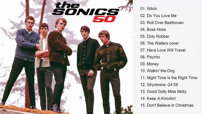The Sonics-1965 - Here Are The Sonics [Full Album Hd]