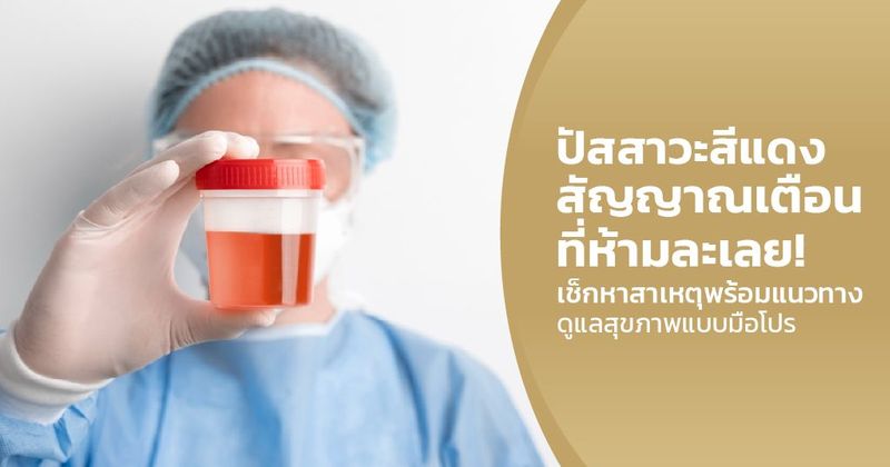 ปัสสาวะสีแดง สัญญาณที่ห้ามพลาด! เช็กสาเหตุและการดูแลแบบมือโปร