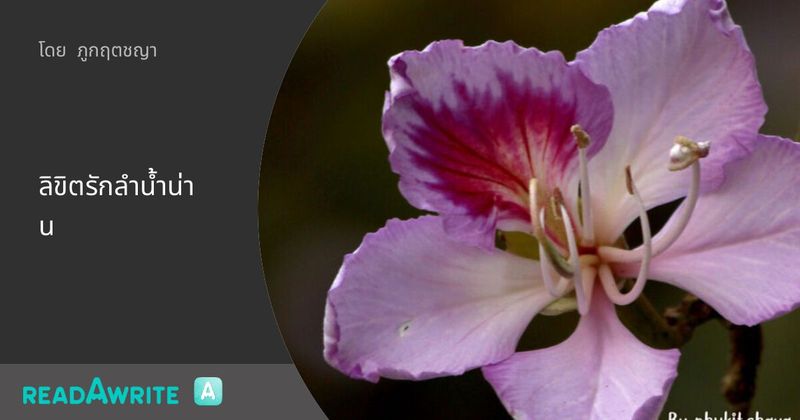 ลิขิตรักลำน้ำน่าน - บทที่ 7 รสชาติจากอนาคต : นิยายรัก