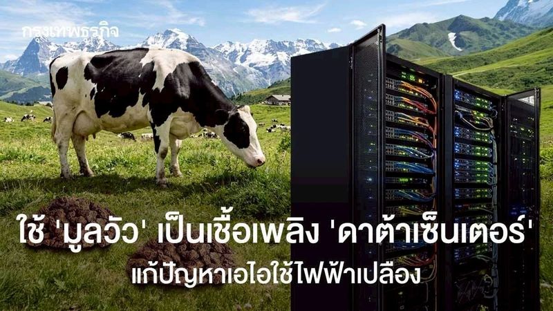 ‘มูลวัว’ แหล่งพลังงานใหม่ ‘ดาต้าเซ็นเตอร์’ แก้ปัญหาเอไอใช้ไฟฟ้าเปลือง แถมยังยืนดีต่อโลก