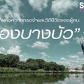 คลองบางบัว