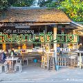 กาแฟลุงกบ ที่ต้นฉำฉา