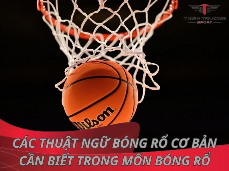 Các Thuật Ngữ Bóng Rổ Cơ Bản Cần Biết Trong Môn Bóng Rổ