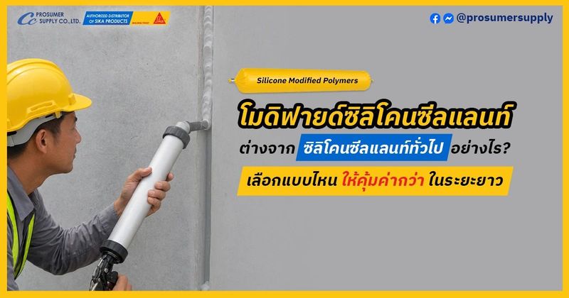 โมดิฟายด์ซิลิโคน ซีลแลนท์ ต่างจาก ซิลิโคน ซีลแลนท์ทั่วไป ยังไง? | โปรซูเมอร์ ซัพพลาย | เคมีภัณฑ์ก่อสร้าง ซิก้า แลงโก้ ราคาโรงงาน ขายปลีก/ส่ง
