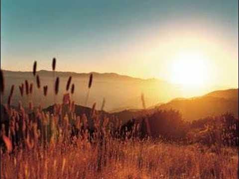 Kings of Convenience - Homesick
