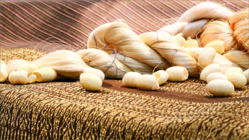 Lamphun Thai Silk ลำพูนไหมไทย ผ้าไหมยกดอก ผลิตจากไหมแท้ 100%
