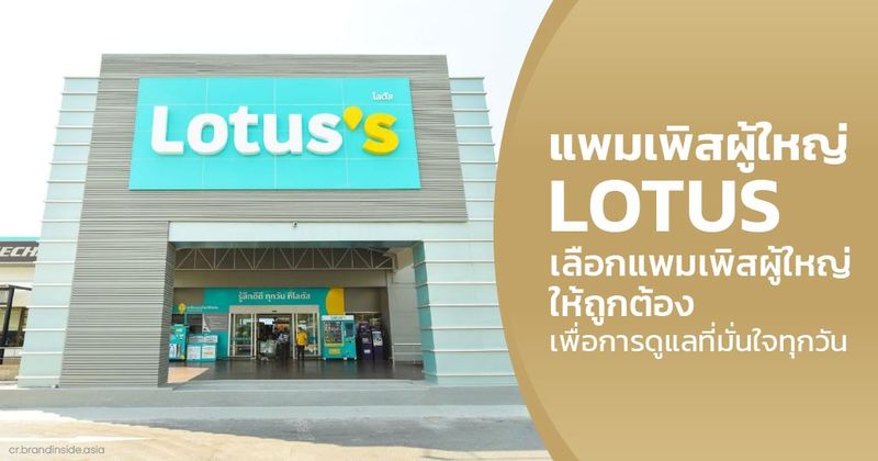 แพมเพิสผู้ใหญ่ Lotus มีขายไหม เลือกแบบไหนให้เหมาะกับผู้สูงอายุ