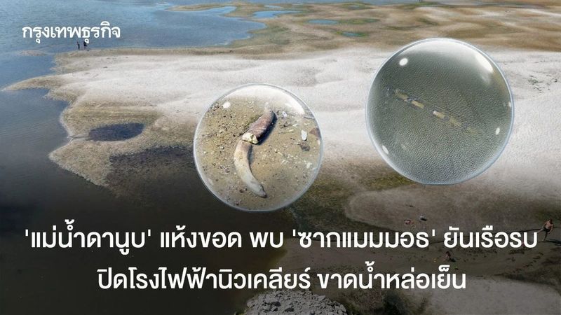 ‘แม่น้ำดานูบ’ แห้งขอด พบ ‘ซากแมมมอธ’ ยันเรือรบ ปิดโรงไฟฟ้านิวเคลียร์ ขาดน้ำหล่อเย็น