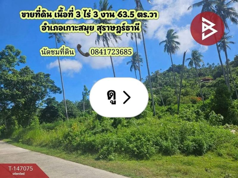 Lemon8 · ขายที่ดิน เนื้อที่ 3 ไร่ 3 งาน 63.5 ตารางวา อำเภอเกาะสมุย สุราษฎร์ธานี · @CHAY - BOYZ