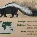 Smithsonian National Zoological Park
