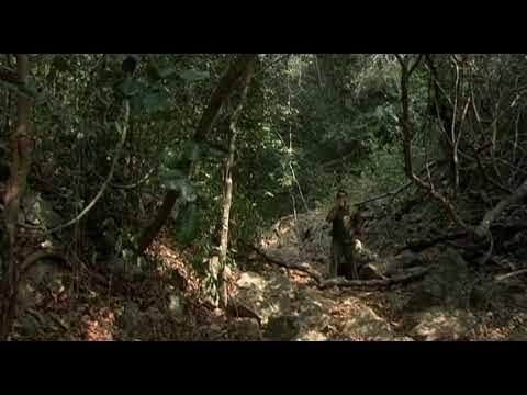 Apichatpong Weerasethakul, Pimpaka Towira - Worldly Desires (2005)