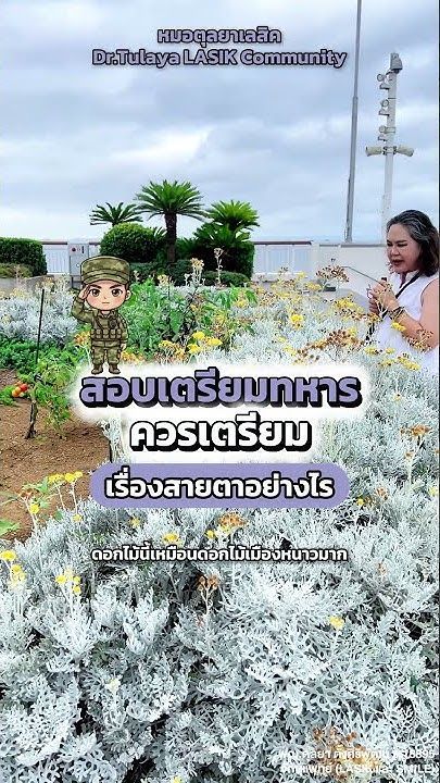 สอบเตรียมทหาร ควรเตรียมเรื่องสายตาอย่างไร โดย พญ.ตุลยา ตั้งศิริพัฒน์