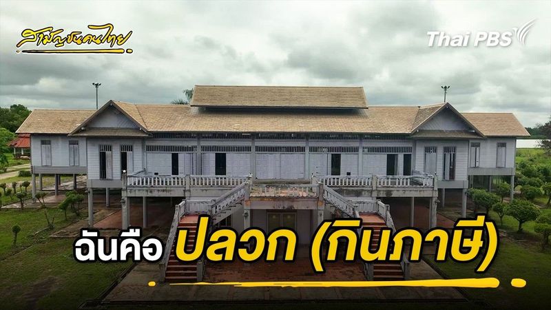 ฉันคือปลวก (กินภาษี) | สามัญชนคนไทย