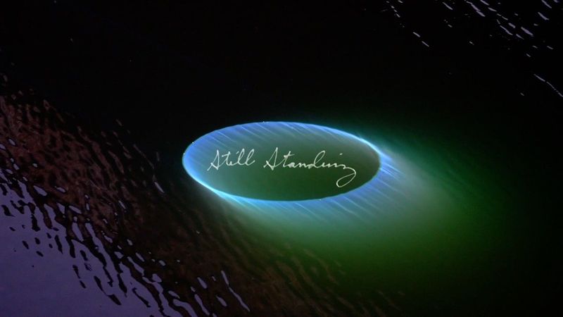 Phoebe Bridgers - Still Standing (Official Lyric Video)