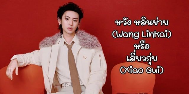 หวัง หลินข่าย (Wang Linkai) หรือ เสี่ยวกุ่ย (Xiao Gui)