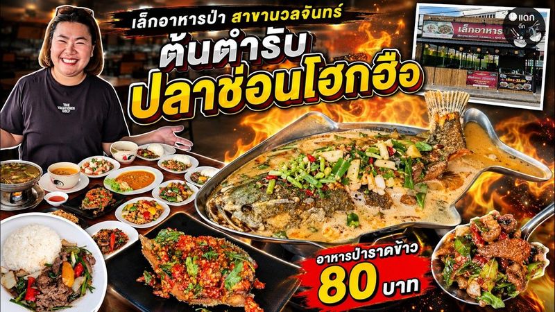เล็กอาหารป่า สาขานวลจันทร์ ต้นตำรับปลาช่อนโฮกฮือ อาหารป่าราดข้าว 80 บาท