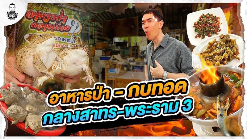 อาหารป่า กลางกรุง สดจากป่าถึงโต๊ะ