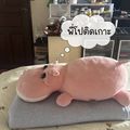 รัชโยธิน