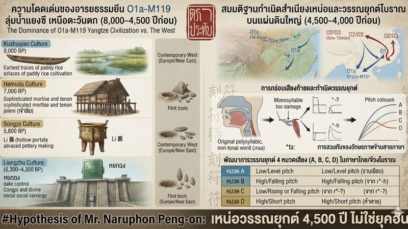 [Enve Engi] สมมติฐานการเกิดสำเนียงเหน่อและสวมวรรณยุกต์มายาวนานกว่า 4,500–5,000 ปี บนแผ่นดินใหญ่
ประชากรชายยีน O1 จากคว่าเฉียวหู กลุ่ม Haplogroup O1 (O1a-M119)
วัฒนธรรมคว่าเฉียวหู (Kuahuqiao Culture - ราว 8,000 ปี