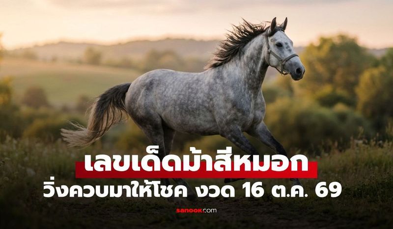 วิ่งควบมาให้โชค! เลขเด็ดม้าสีหมอก แนวทางงวด 16 ต.ค. 69 ปล่อยชุดเด่นบน-ล่าง