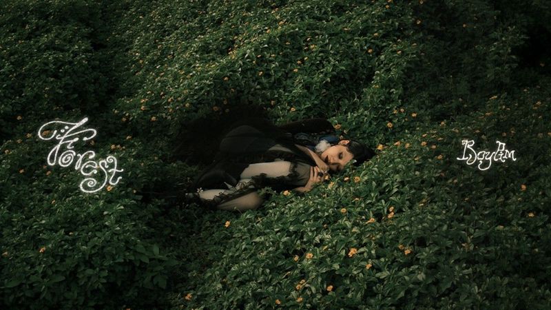 Roypim - Forest (Official Video)