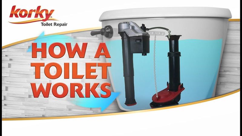 How a Toilet Works - Anatomy of a Toilet